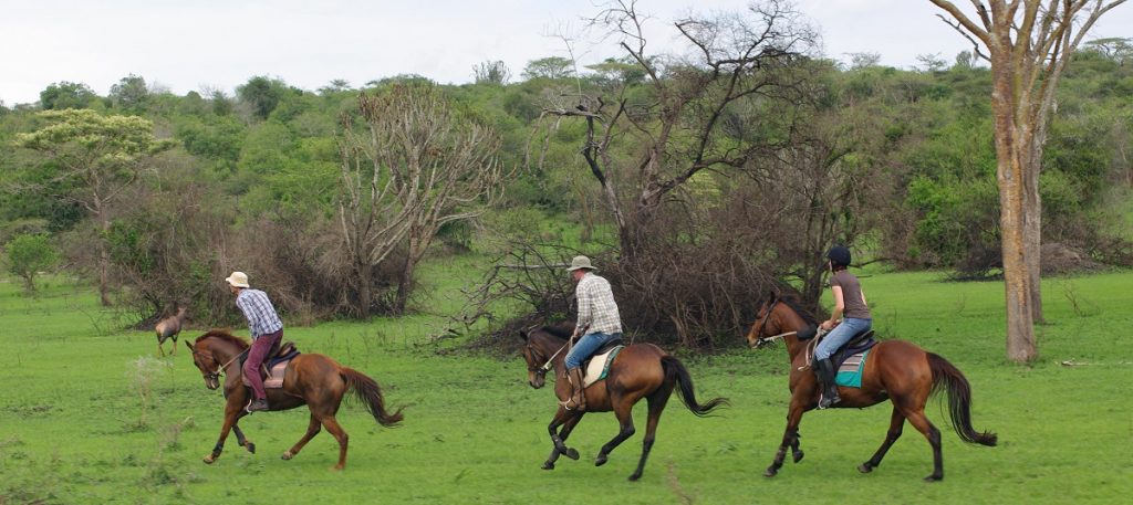 2 Days horseback riding safari in Lake Mburo