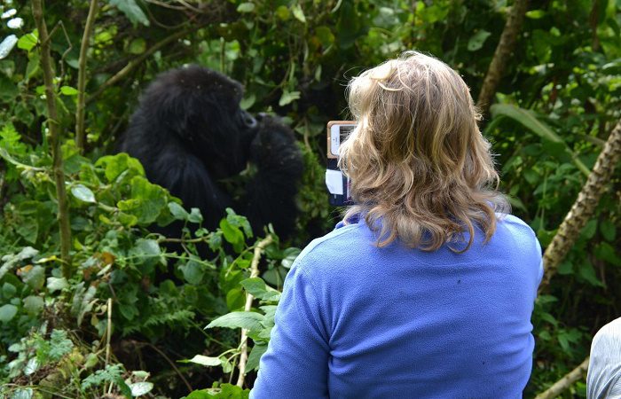 Rules and Regulations for Gorilla Trekking in Rwanda