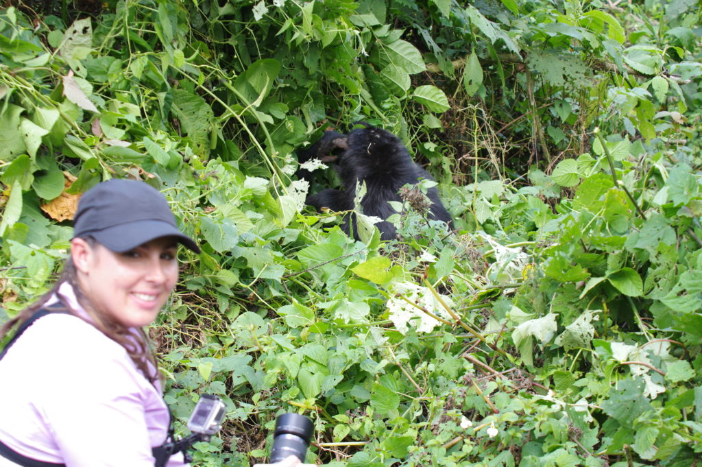 3 Days Uganda Gorilla Habituation Safari from Kigali