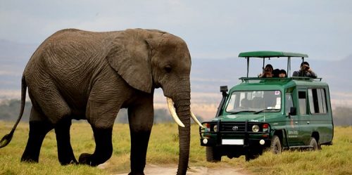 Akagera national park Safari