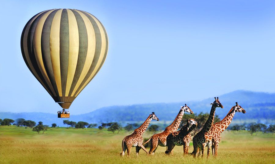 Activities in Serengeti National Park 
